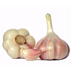 Aglio