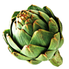 Carciofi