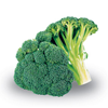 Cavolo broccolo