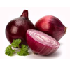 Cipolla