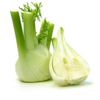 Finocchi
