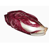 radicchio