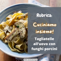 TAGLIATELLE AI FUNGHI